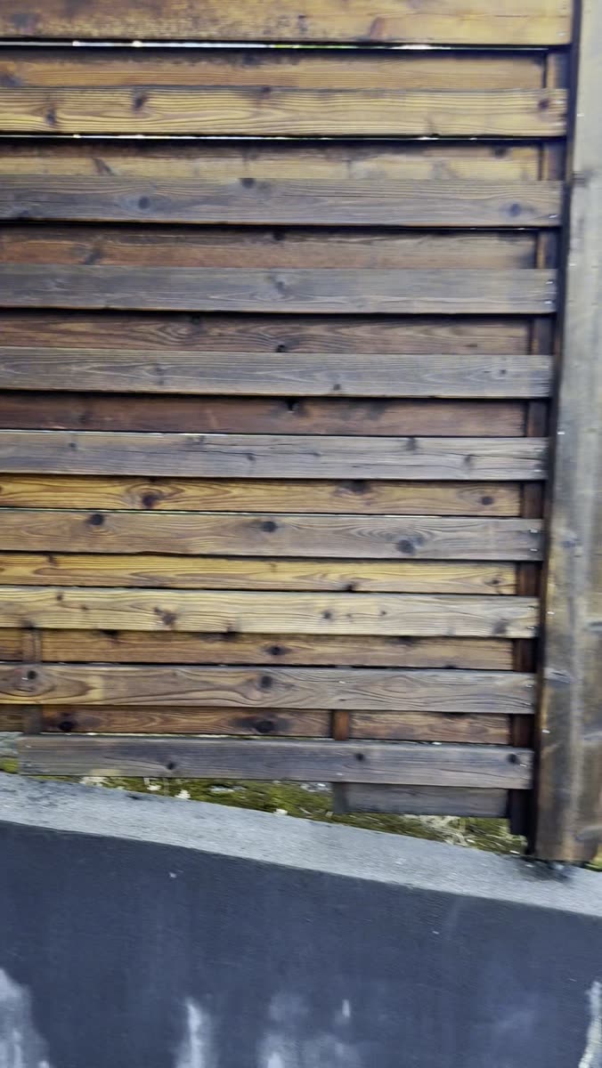 Ladders set along a fence run during staining