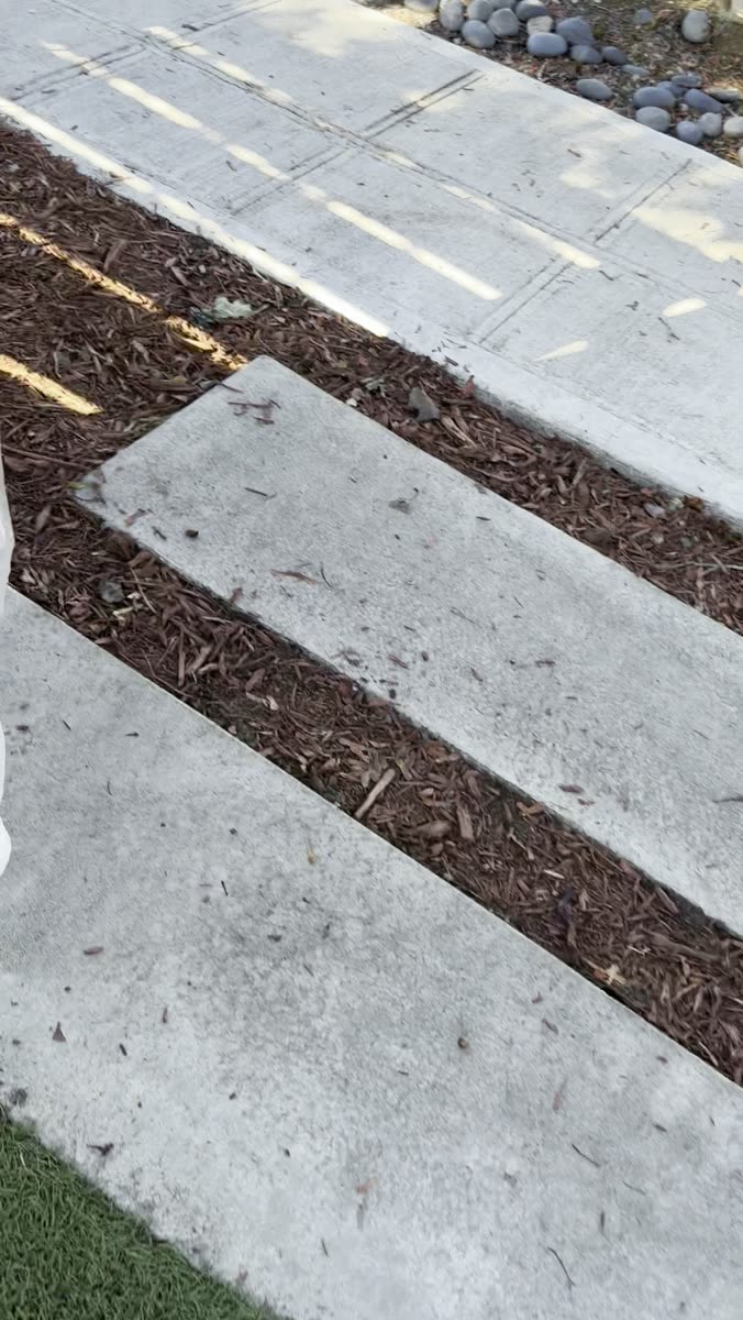 Paver walkway and bark beds cleaned alongside the fence
