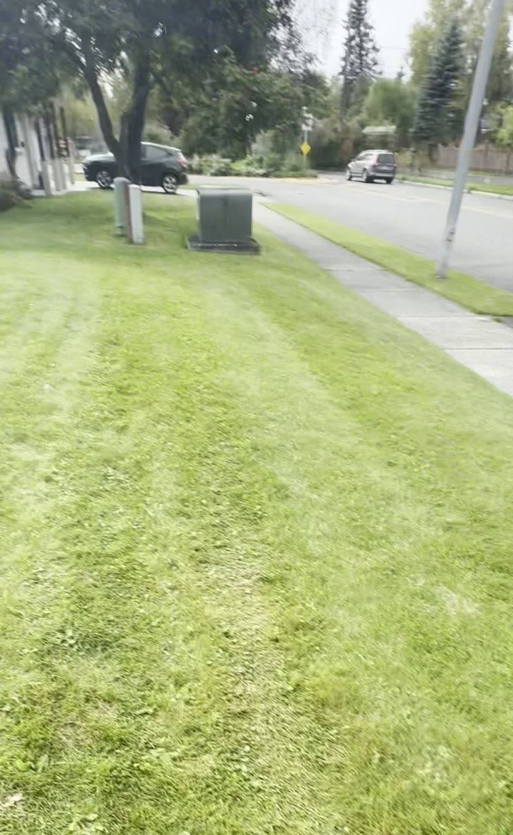 Lawn mown and restored after the exterior remodel